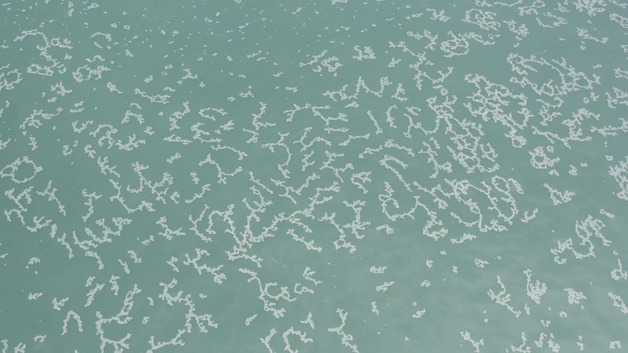 Blue-green water fills the frame in Los Cabos, Mexico, with pale foam patterns spread across the upper and lower areas and no visible people.