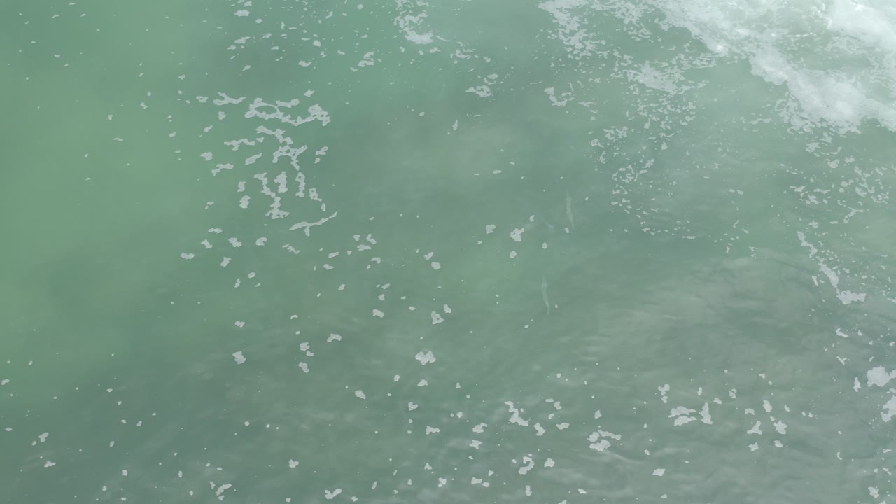 Top-down view of pale green Los Cabos ocean water with scattered white foam near the upper edge and no visible people.