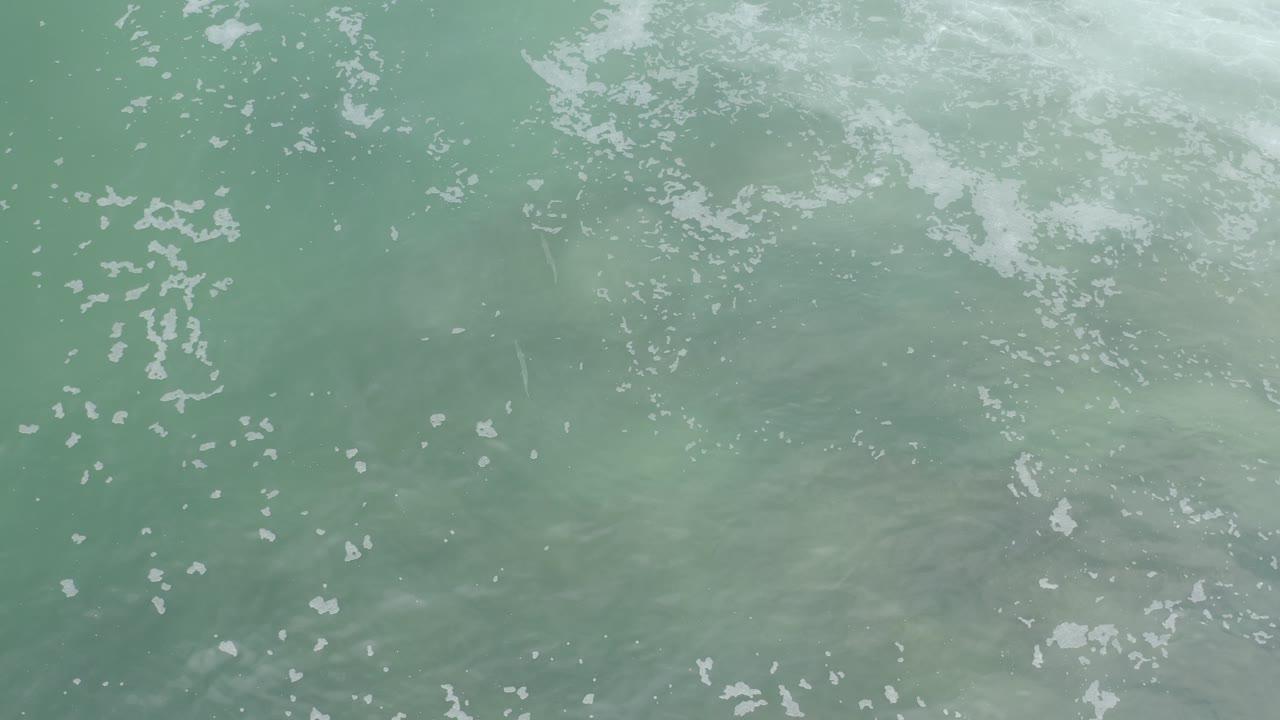 Abstract shallow ocean surface with foam clusters.