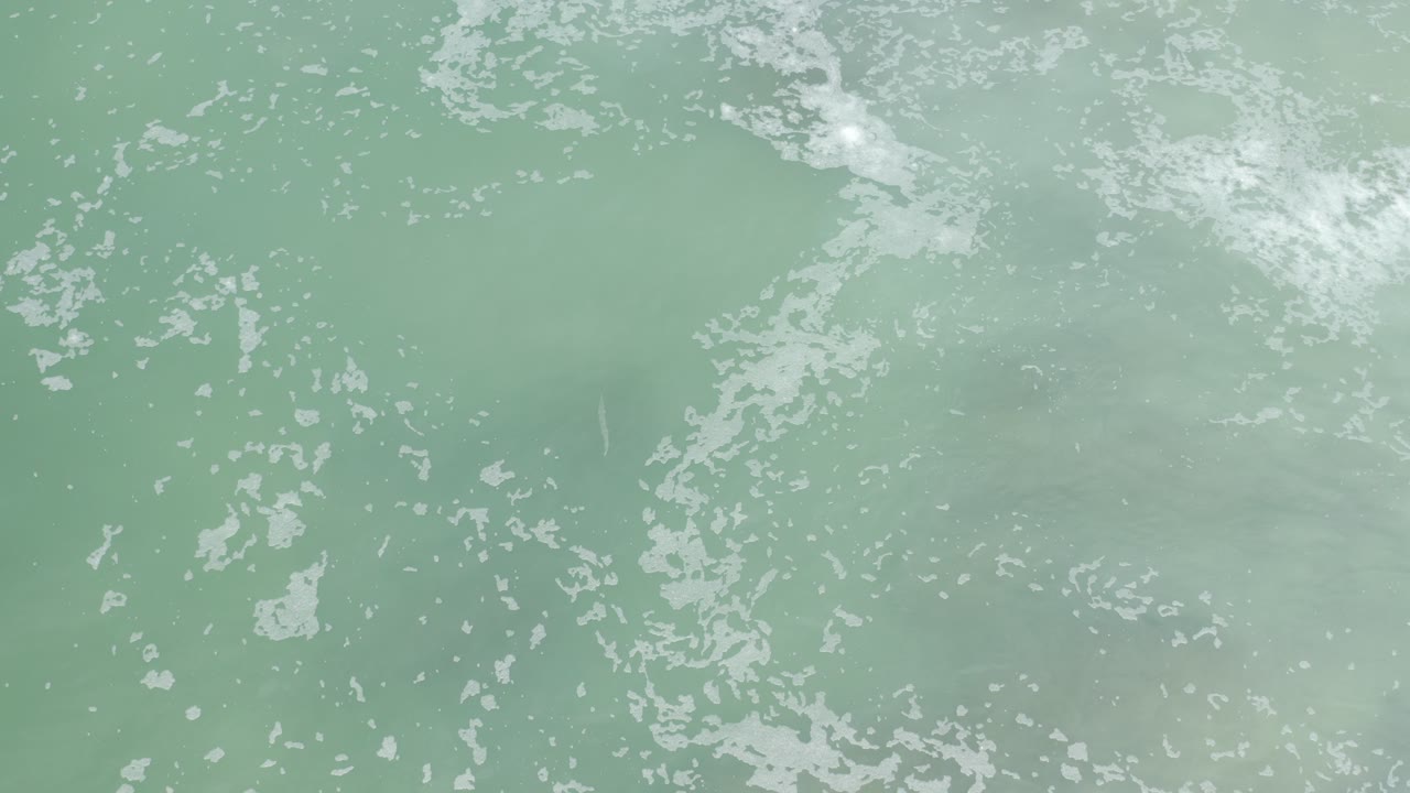 Overhead view of pale green sea water in Los Cabos, Mexico, with scattered white foam and cloudy patches under bright daylight, no visible people.