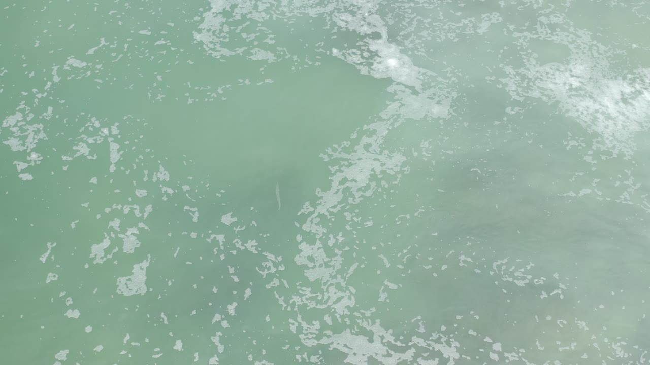 Overhead Los Cabos water surface with broken white foam across the upper area and cloudy green murk beneath the surface, no visible people.
