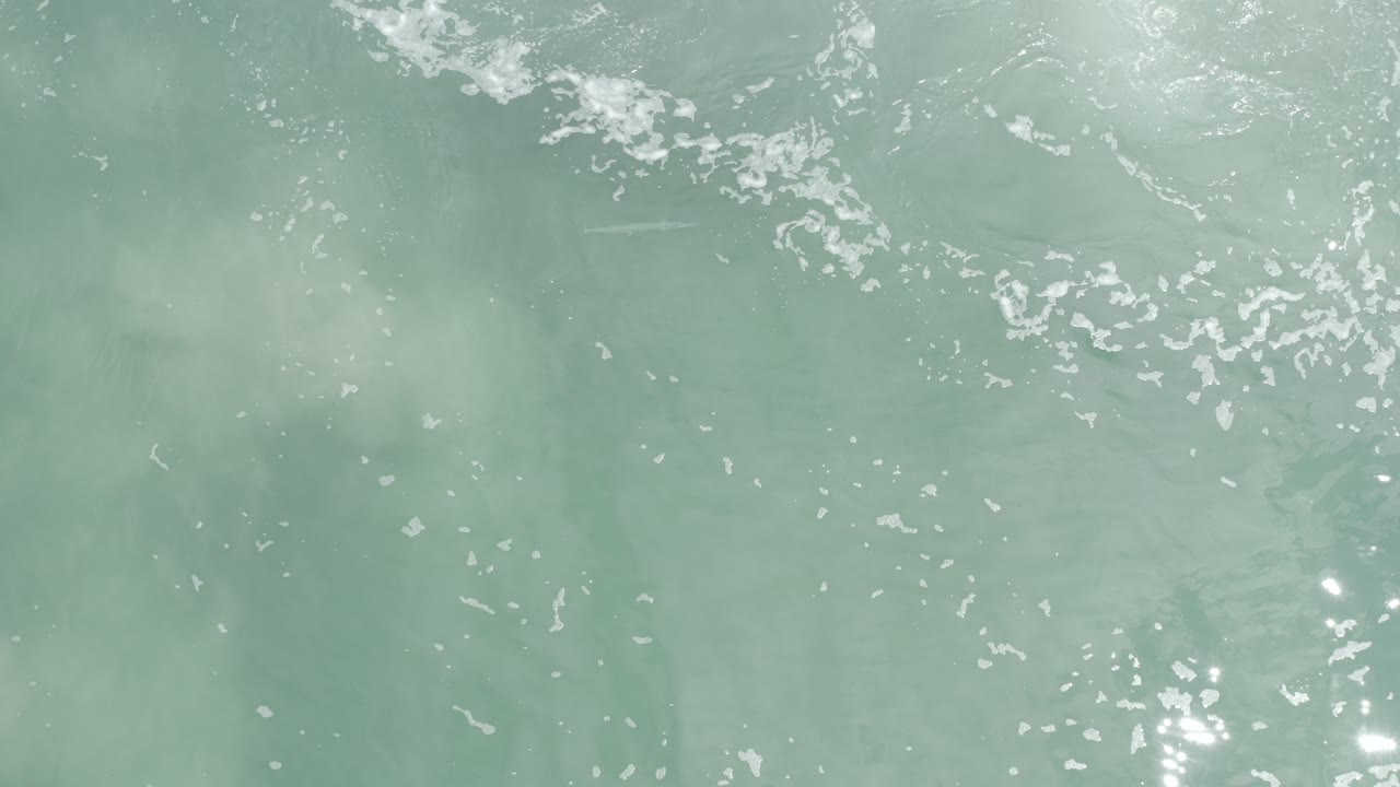 Pale green ocean surface with small foam patches