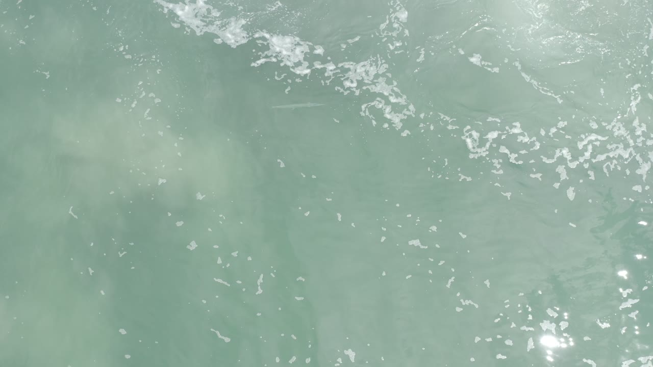 Overhead Los Cabos ocean frame with muted green water, fine ripples, bright sun flecks near the lower center, and no visible people.
