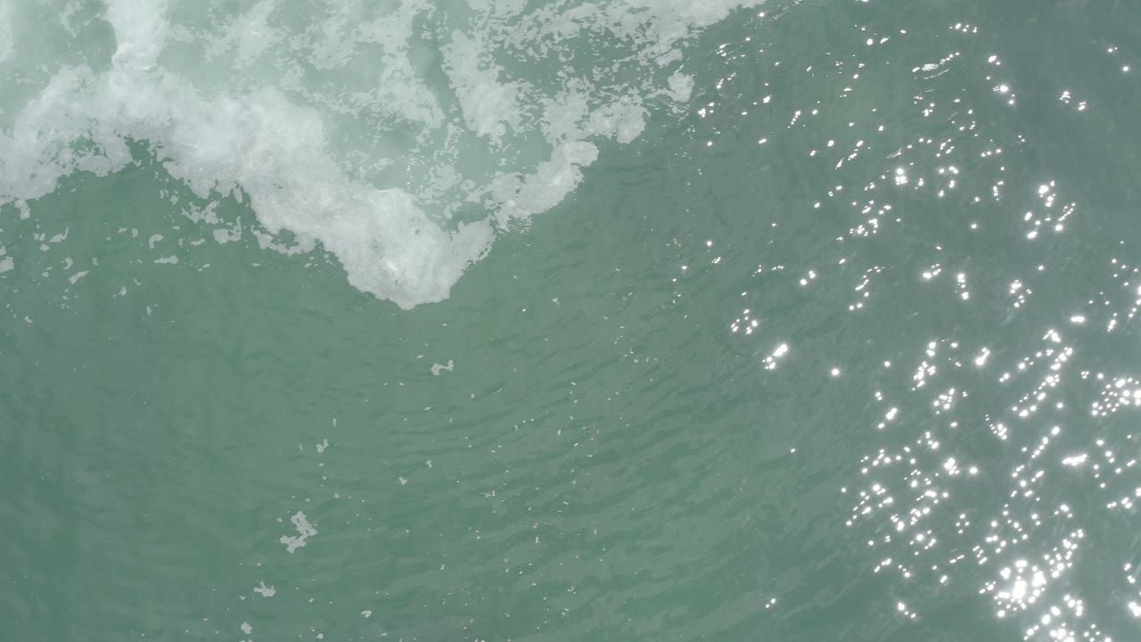 Green ocean surface with white foam and sun sparkle.