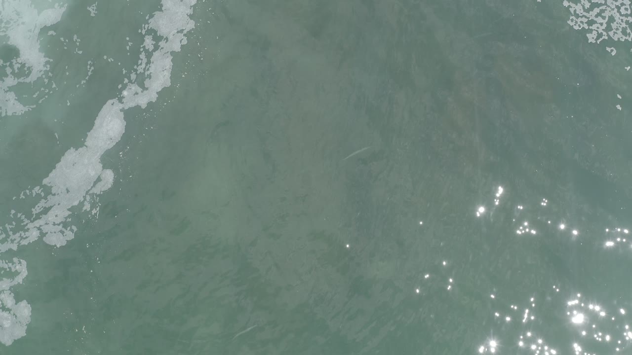 Overhead seawater with clustered sun reflections and foam.