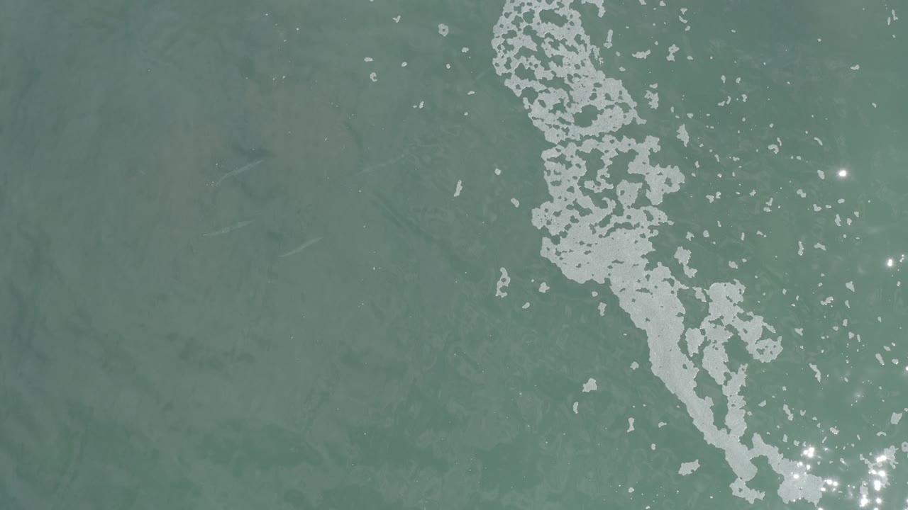 Overhead Los Cabos water surface with a diagonal band of white bubbles, scattered sun reflections, faint submerged fish shapes, and no visible people.