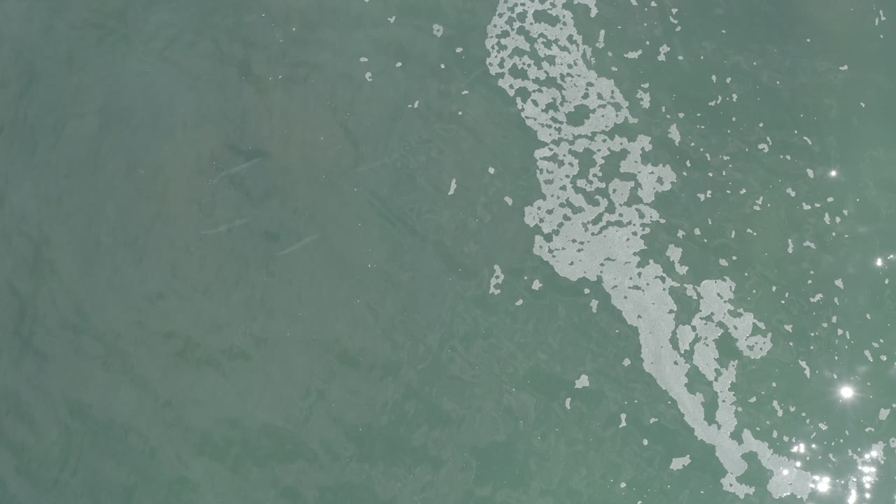 Overhead frame from Los Cabos showing murky green water, a vertical-diagonal foam streak near center-left, bright reflection points, and no visible people.