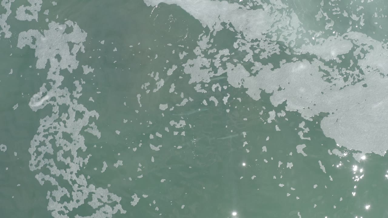 Overhead green-blue ocean water with white foam patches and bright sun glints.