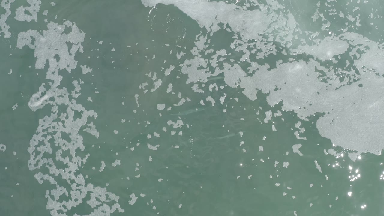 Green-blue Los Cabos ocean water fills the frame, with broken foam clusters spread across the upper area and no visible people.