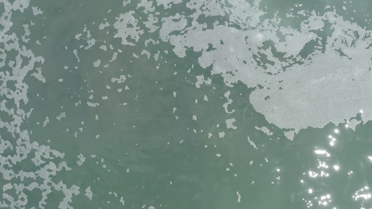 Aerial-looking view of green water in Los Cabos, Mexico, with scattered white foam at the top and a tighter cluster of sun sparkles near the lower right, with no visible people.
