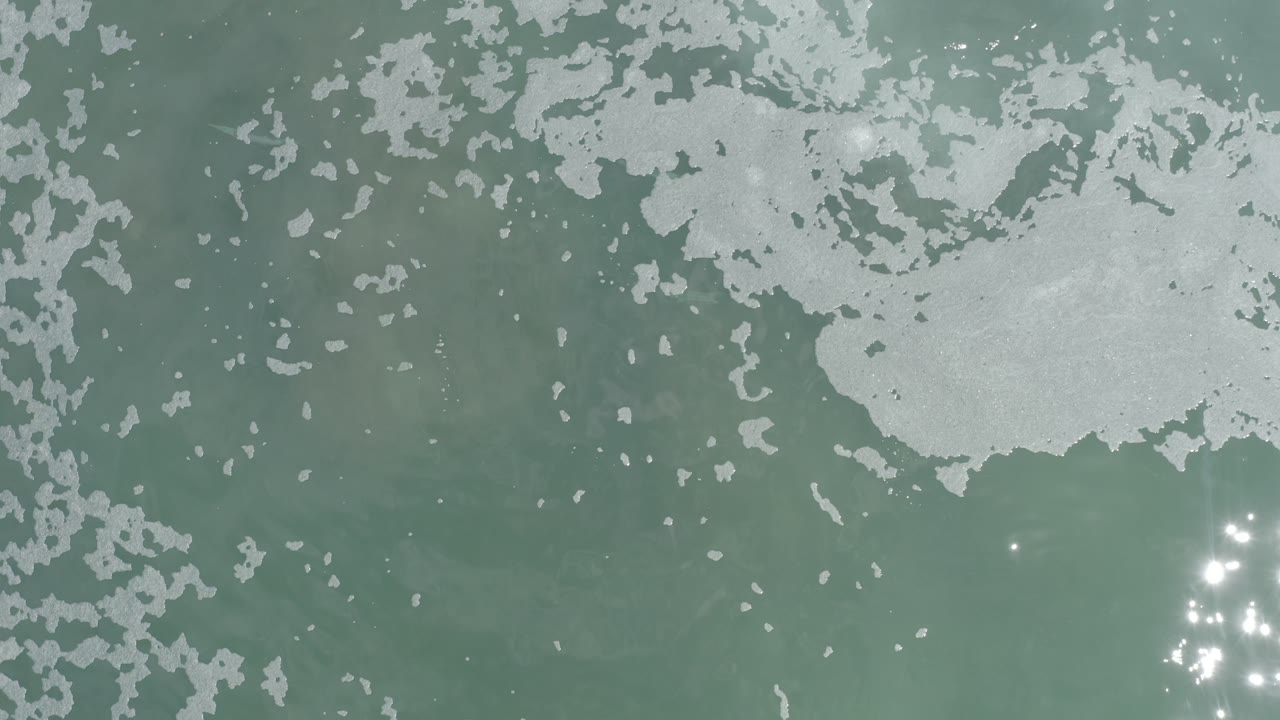Pale foamy water pattern over green coastal water.