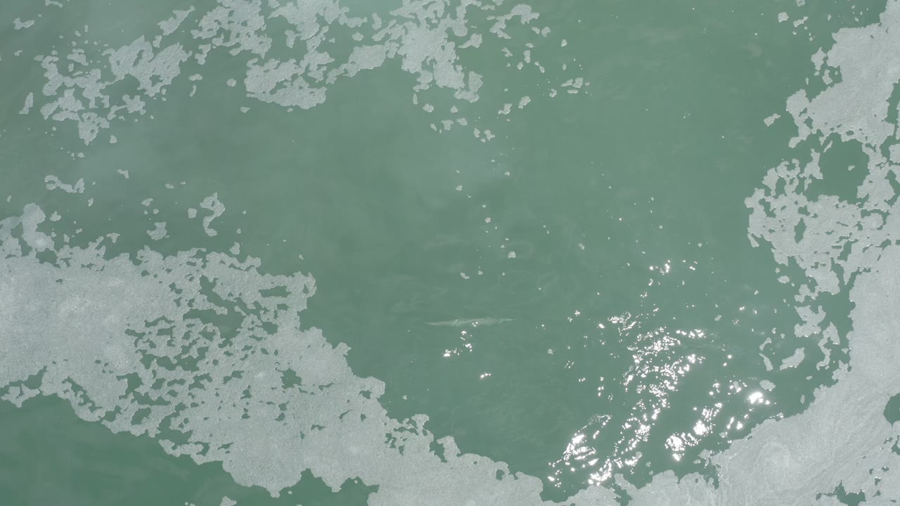 Overhead view of green-blue water in Los Cabos, Mexico, with scattered white foam patches and bright surface glints, no visible people.