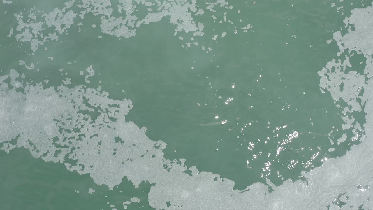 Green ocean surface with foam clusters and bright reflections.