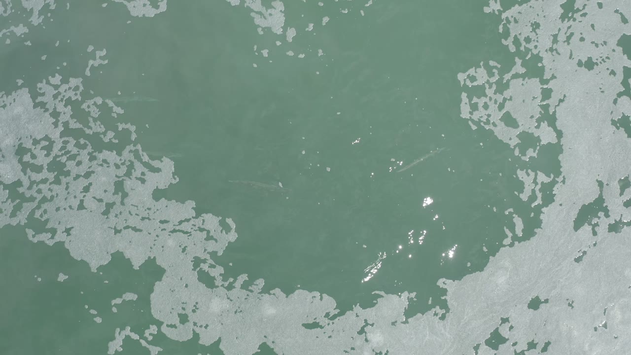 Overhead Los Cabos water view with pale shallows curling into green water and small sun glints on the surface, no visible people.