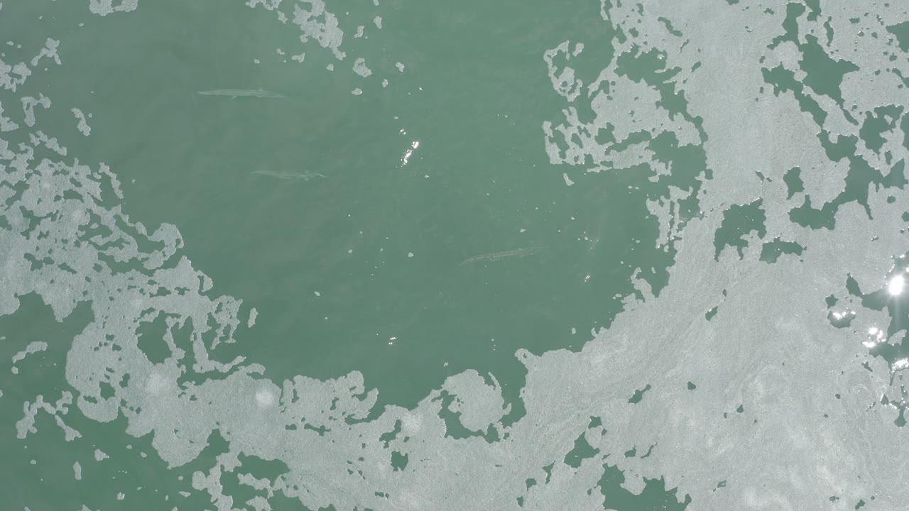 Overhead view of pale sea foam across green-blue ocean water in Los Cabos, Mexico, with bright light flecks near the lower right and no visible people.