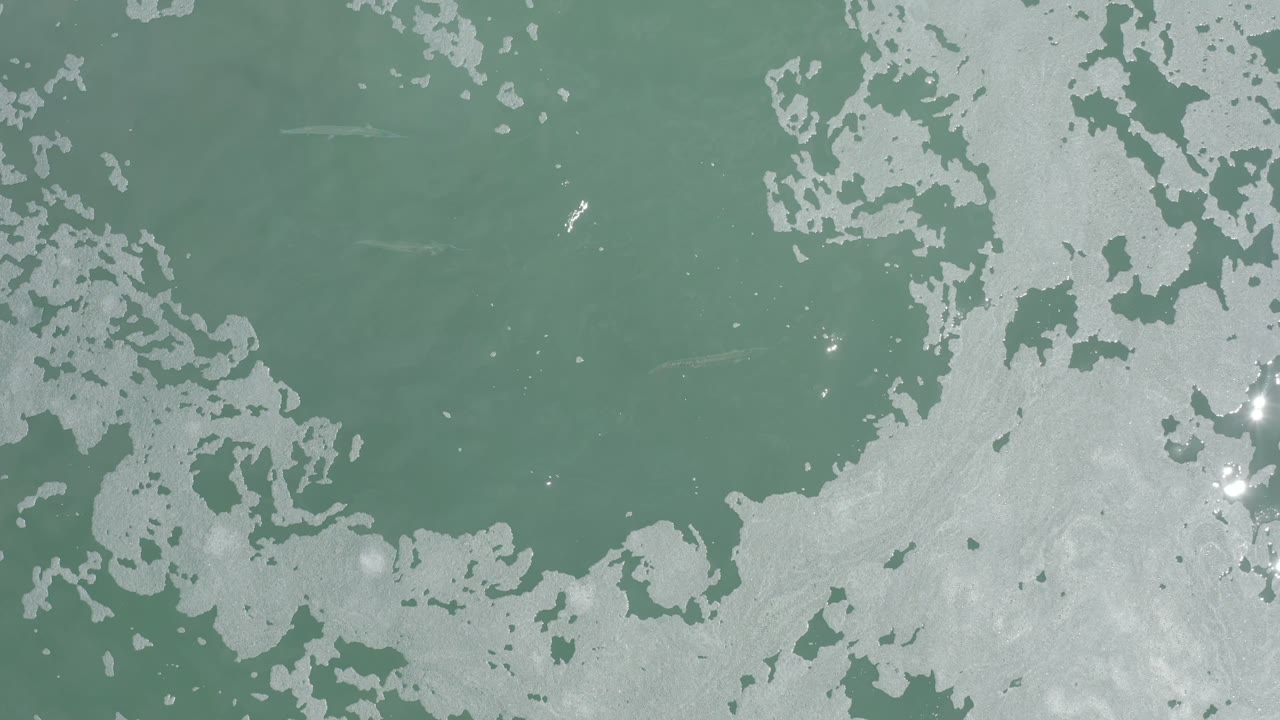 Top-down Los Cabos ocean surface with a broad pale foam patch through the lower center, muted green water above it, and no visible people.