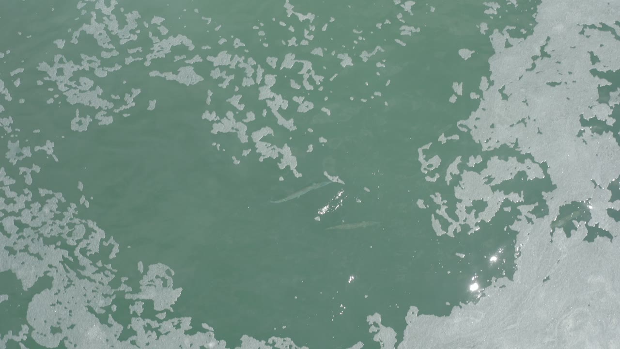 Los Cabos water surface seen from above with pale green waves, irregular white patches, small bright sun reflections, and no visible people.