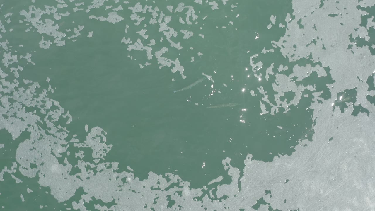 Overhead water texture with bright reflection spots