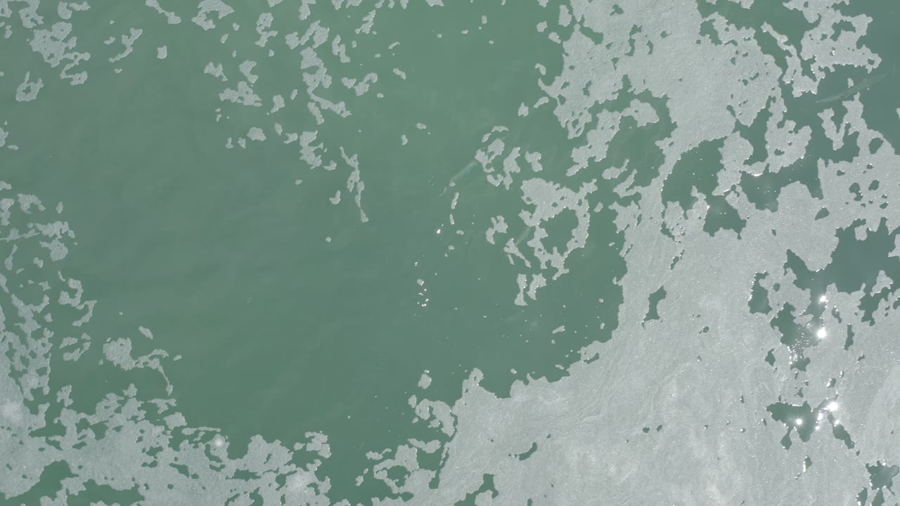 Aerial view of muted teal ocean water in Los Cabos, Mexico, with white foam clusters spread across the frame and no visible people.