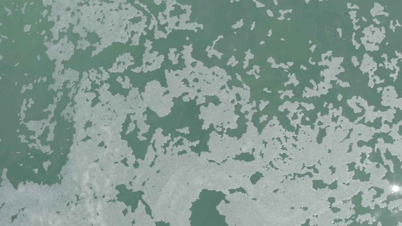 Green-blue water surface with pale foam patterns and sun glint near the lower right.