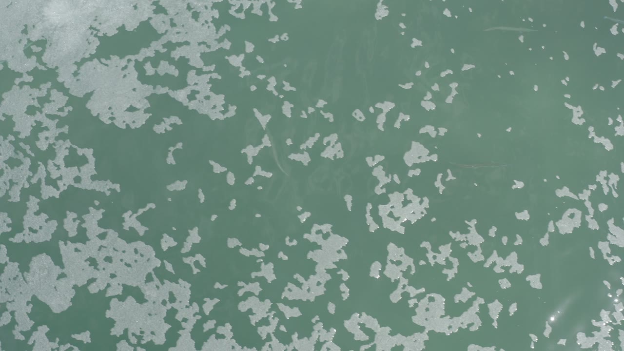 Top-down green-blue ocean surface with pale broken patches.