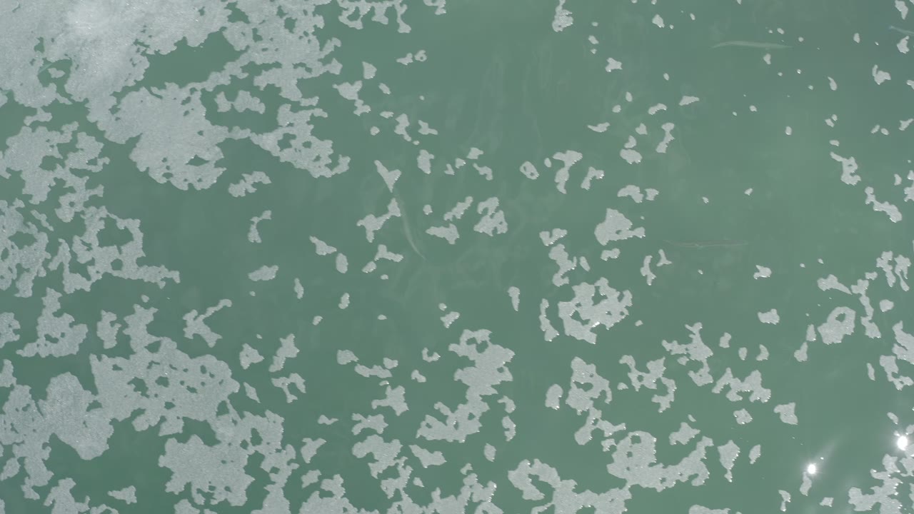 Top-down Los Cabos ocean frame with irregular pale patches across green water and a small sun reflection near the lower center, with no visible people.