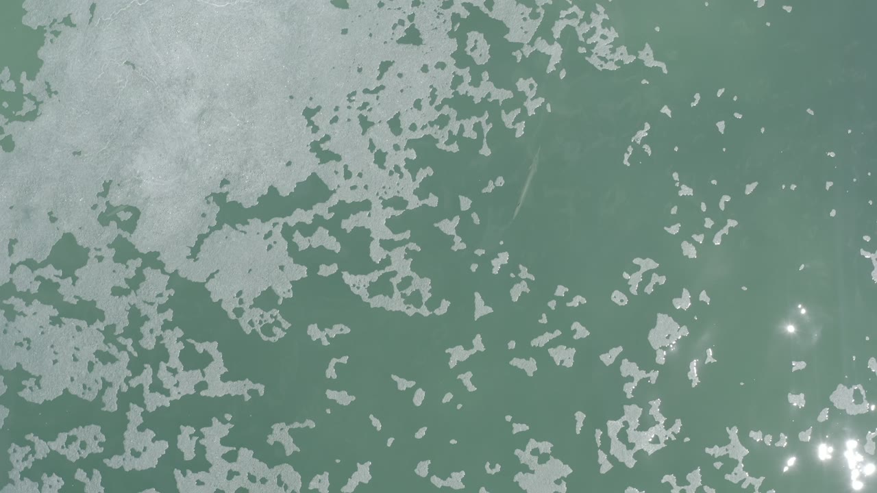 Green water with broken scum patches and bright glare near the right side.