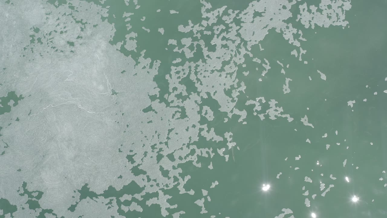 Abstract sea foam pattern over green-blue water