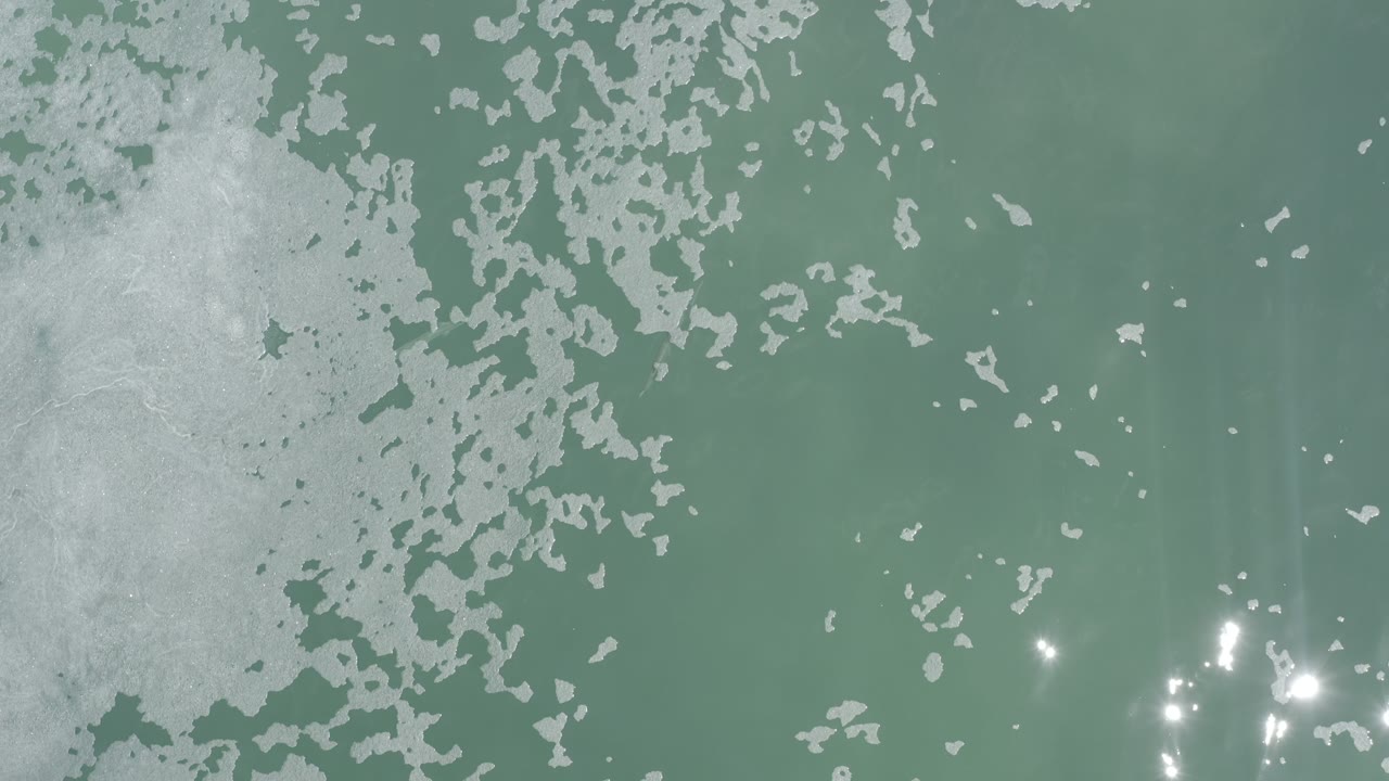 Pale scum patterns over green water