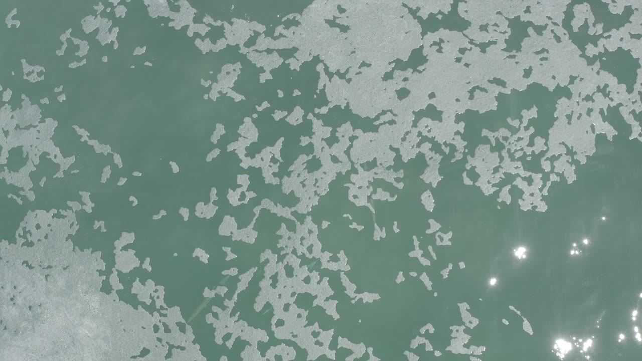 Overhead green water with pale scum patches and bright reflections.