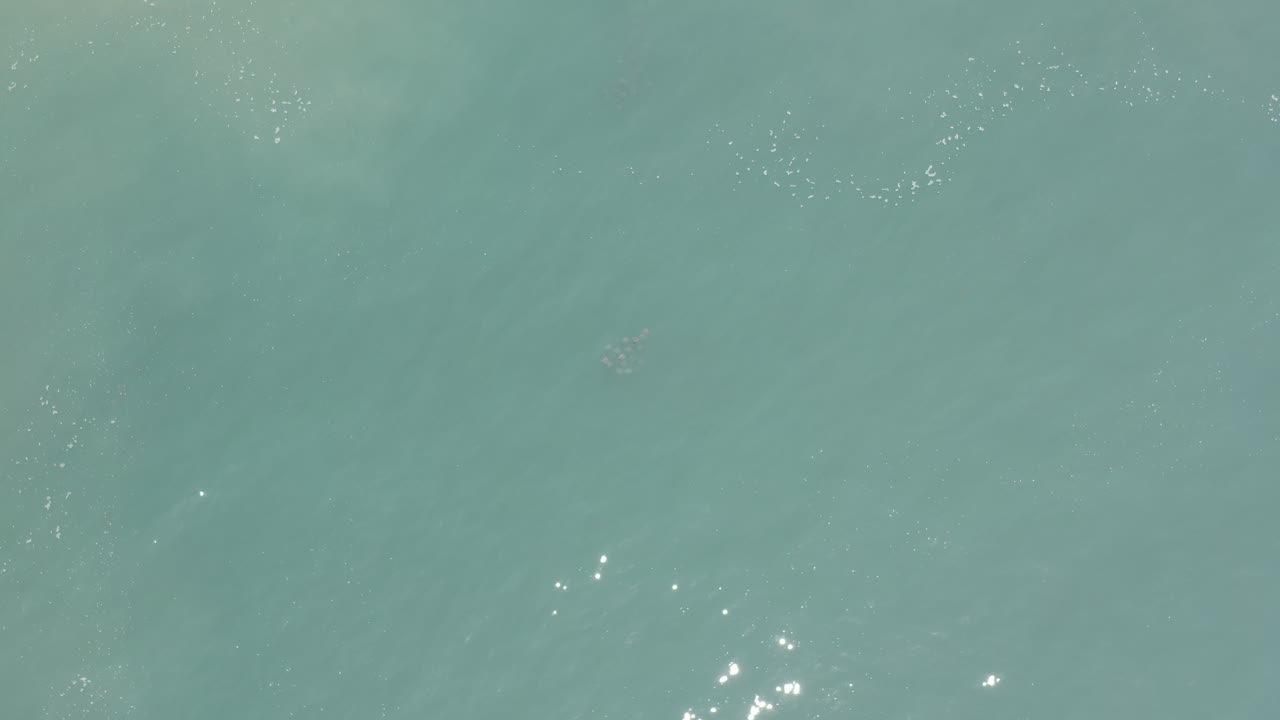 Pale blue-green water with small sunlight sparkles.
