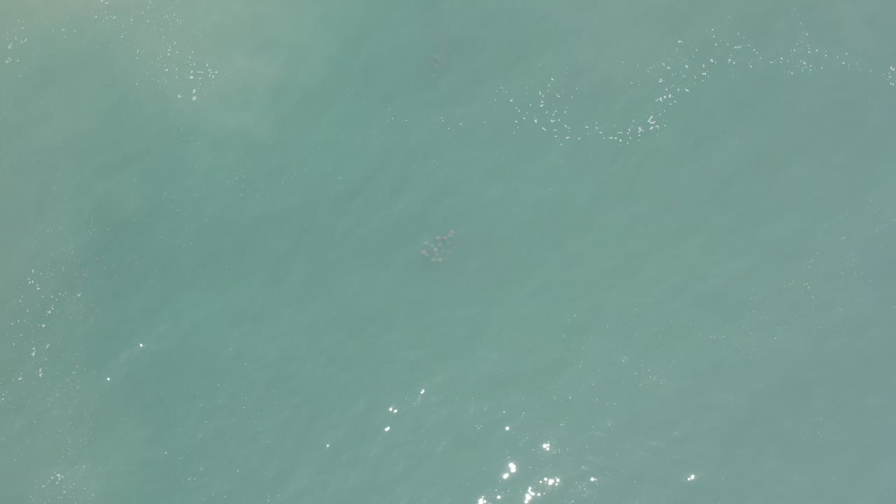 Overhead Los Cabos water surface with a small cluster of bright sunlight reflections slightly left of center and no visible people.