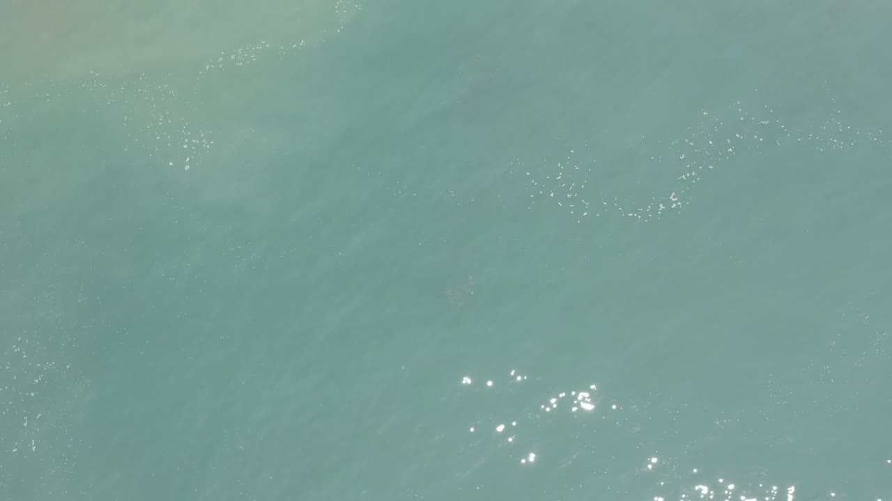 The Los Cabos water surface appears blue-green and softly rippled, with a brighter group of white sun glints forming near the lower middle of the frame and no visible people.