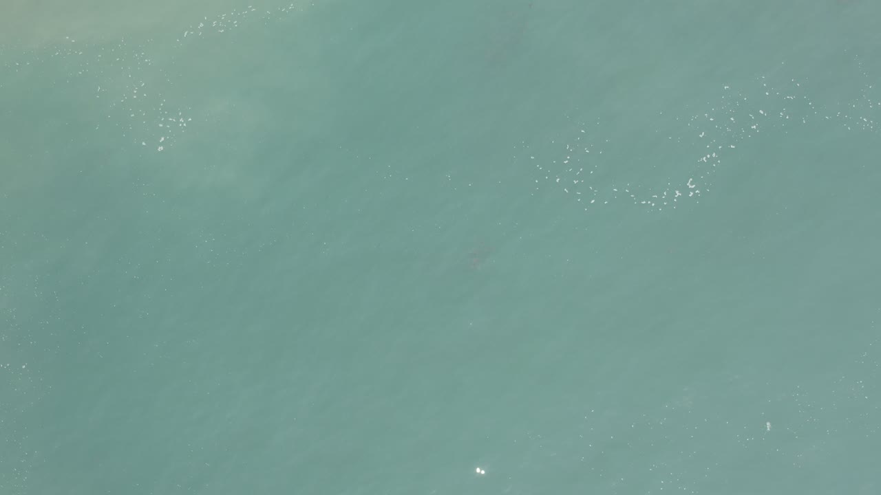 Turquoise ocean surface with small white foam flecks.