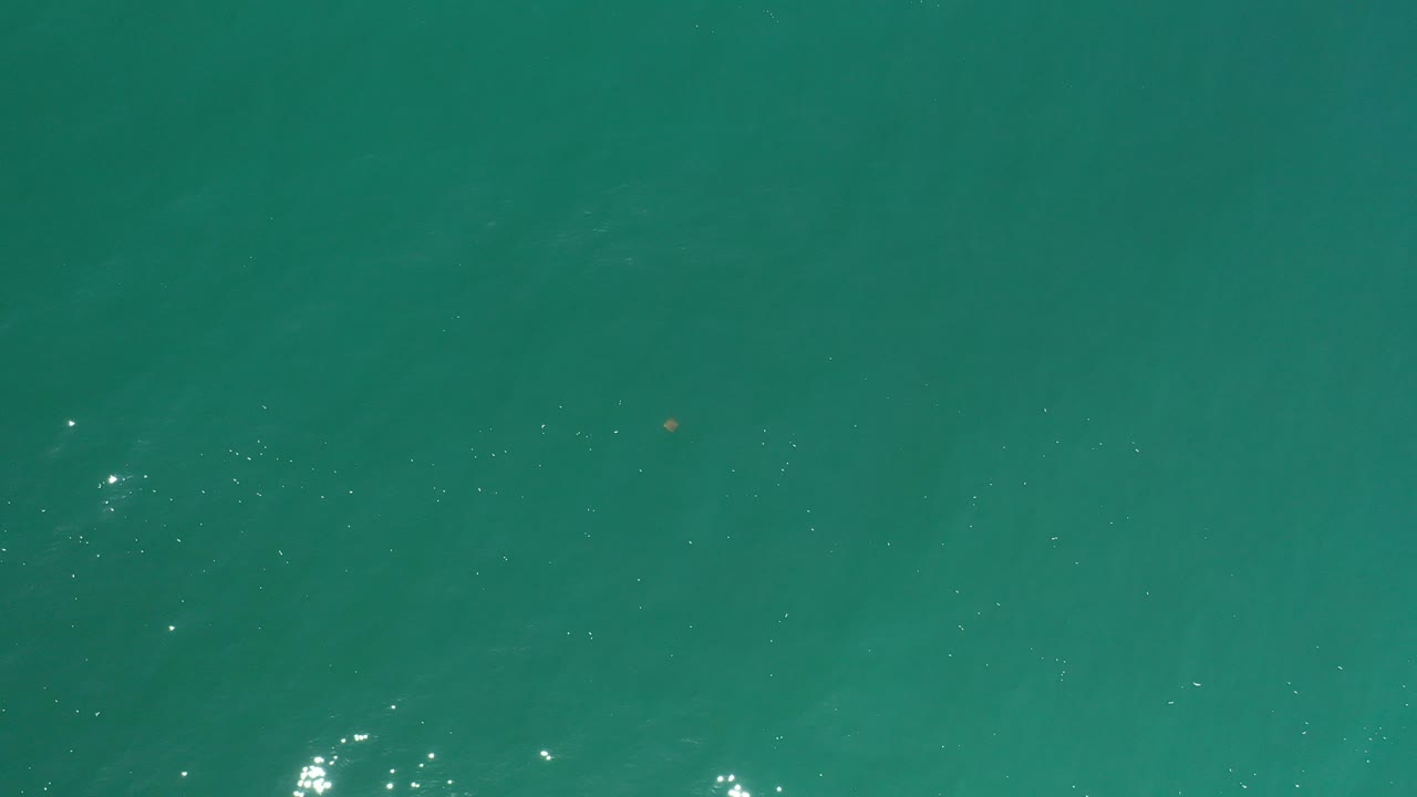 Overhead view of teal ocean water near Los Cabos, Mexico, with scattered sun reflections, faint underwater color shifts, a small floating speck, and no visible people.