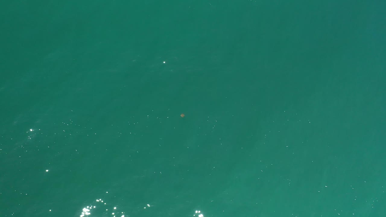 A top-down frame of Los Cabos ocean water shows bright sparkle clusters on small waves, faint darker shapes beneath the surface, and no visible people.