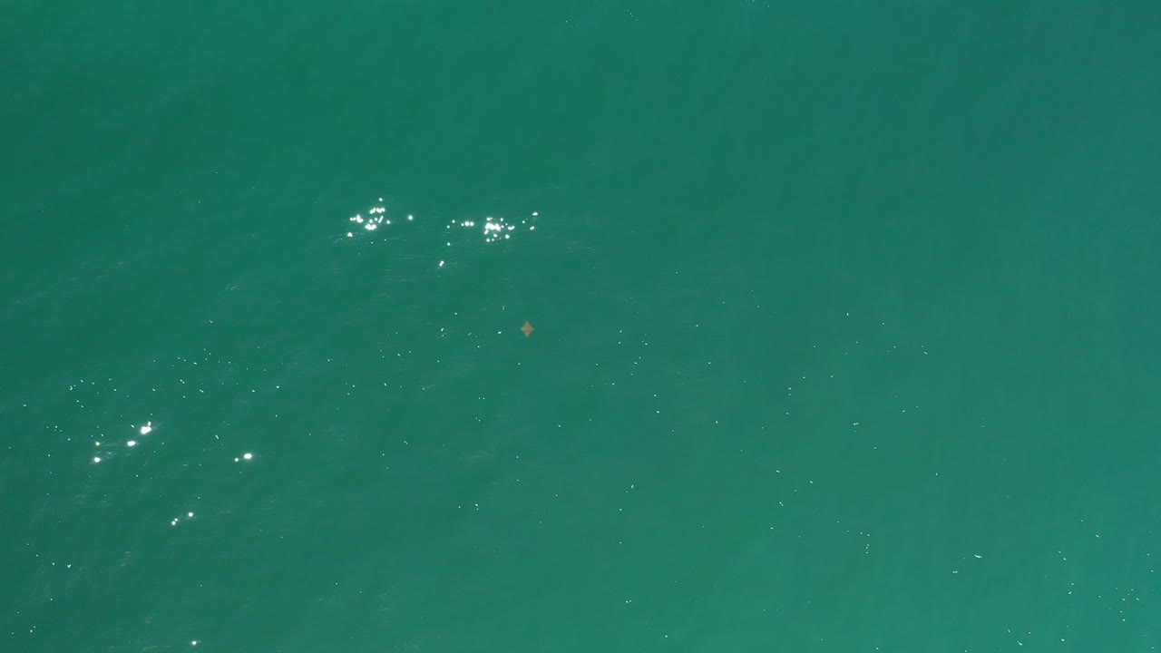 Teal ocean surface with scattered sunlight and a small object near center.