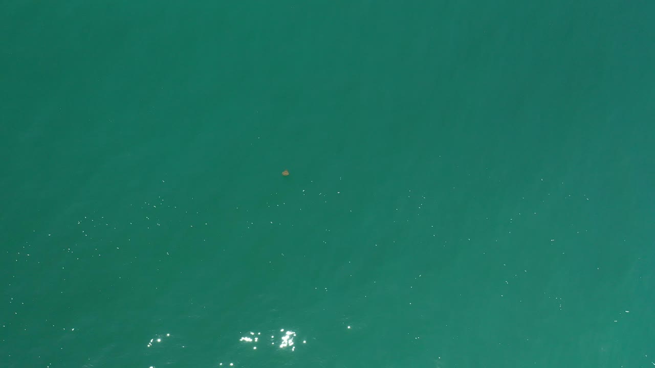 Open teal water with bright surface sparkle and a small brown object high in frame.