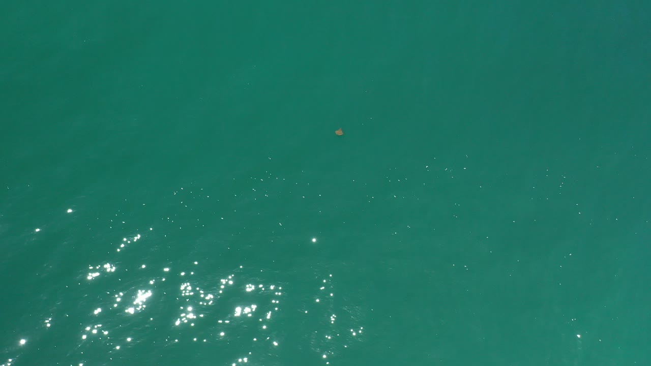 Turquoise green water in Los Cabos, Mexico fills the frame with clustered sun glints near the lower left and no visible people.