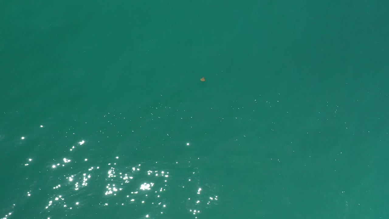 Overhead Los Cabos water surface with scattered white reflections across the lower half and no visible people.