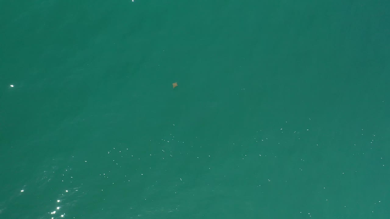 Overhead Los Cabos water frame with green-blue color, sparse bright reflections near the upper right, tiny floating specks, and no visible people.