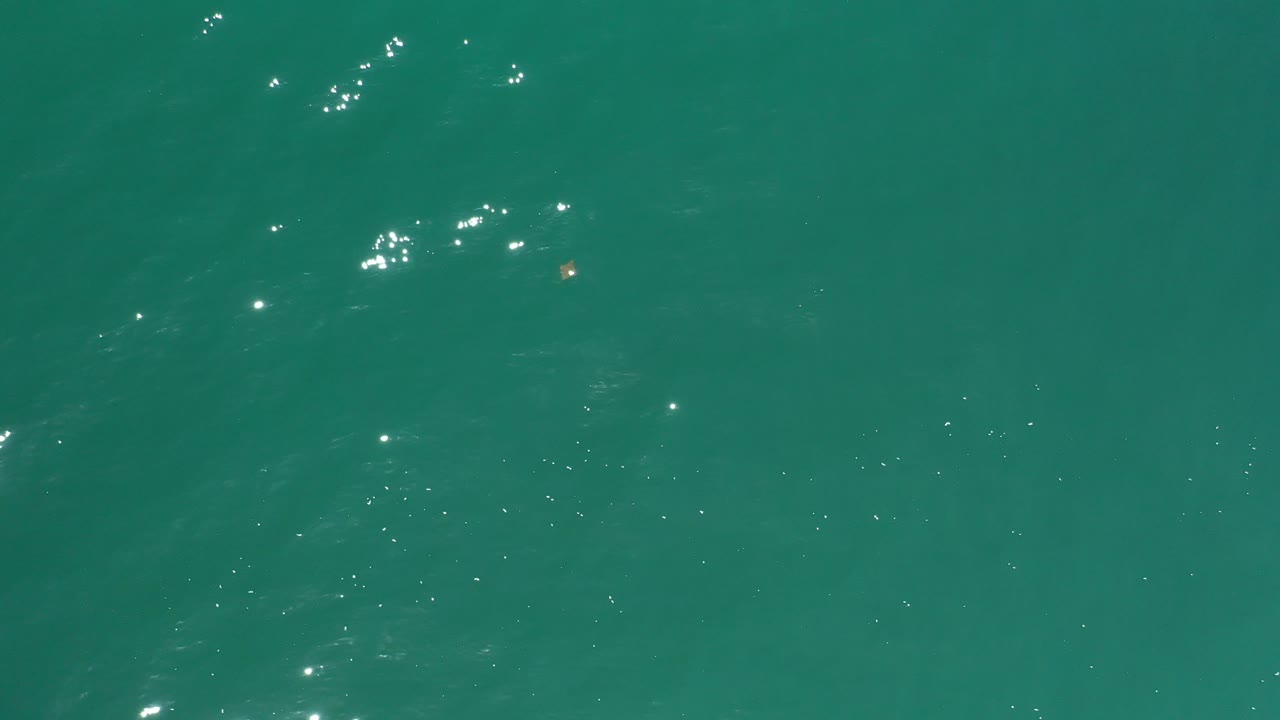 Open turquoise water with small glints and no shoreline.