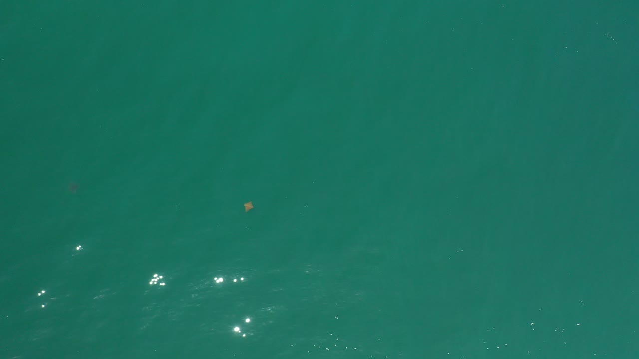 Overhead teal ocean water with small sun reflections.