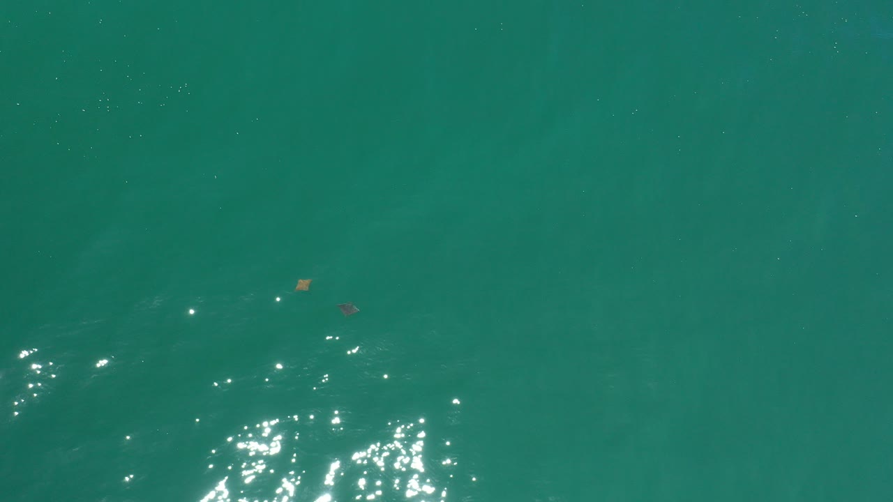 Top-down green seawater with bright reflections near the lower left.