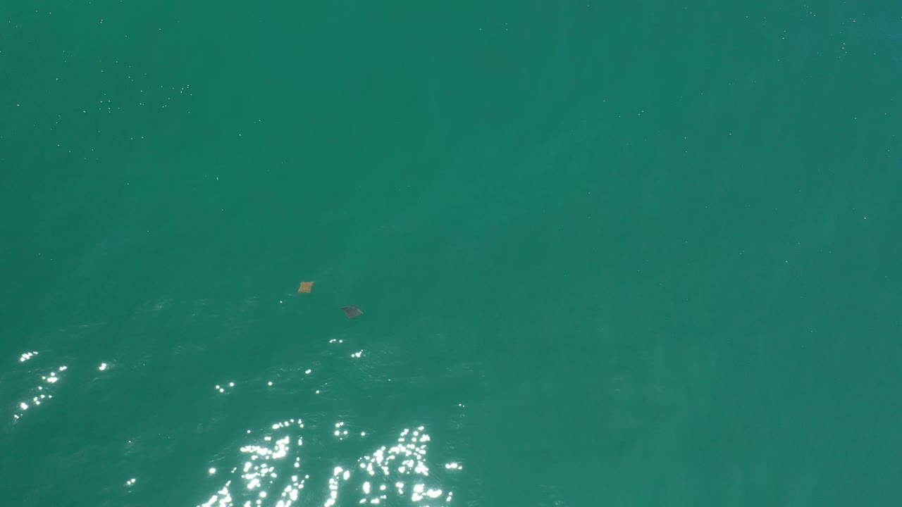 Overhead Los Cabos sea surface with green water, a cluster of white reflections along the lower edge, and no visible people.