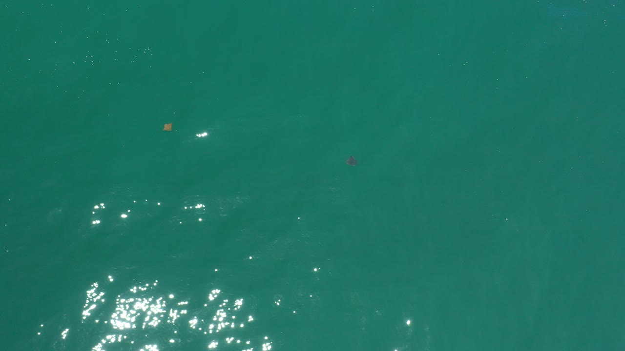 Overhead view of turquoise water in Los Cabos, Mexico, with bright sun reflections near the lower left and two tiny floating objects, no visible people.