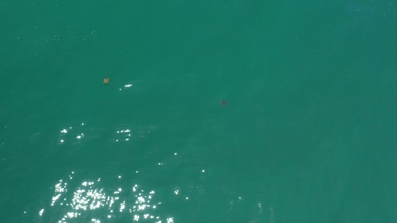 Turquoise ocean surface in Los Cabos, Mexico, with clustered white highlights low in frame and small orange and reddish objects separated across the water, no visible people.