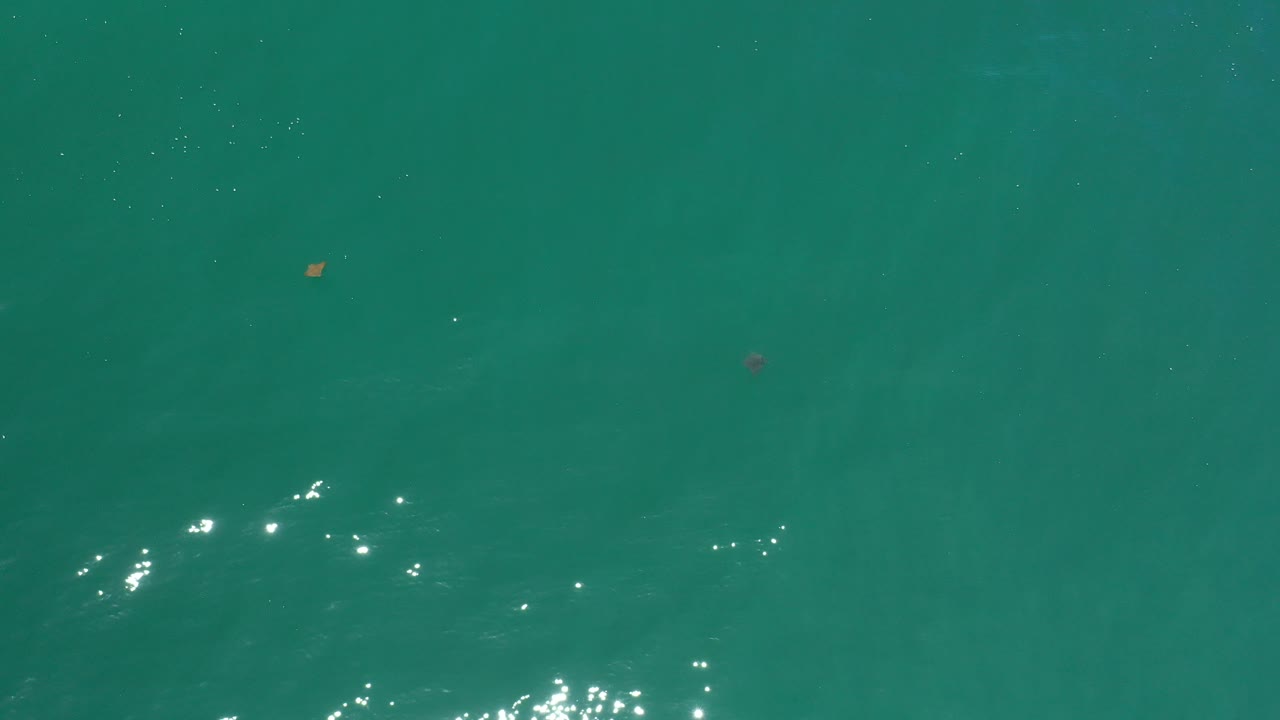 Open turquoise water with sun glints and tiny floating points