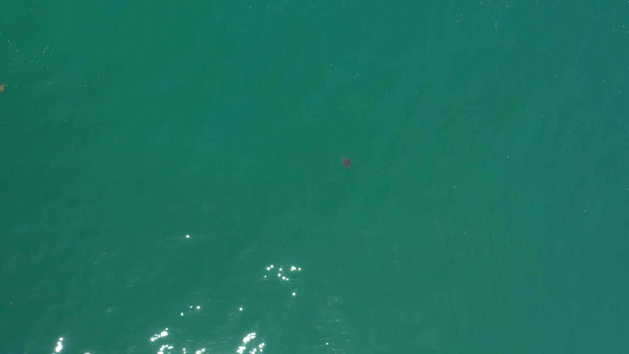 Green ocean surface with small sun glints