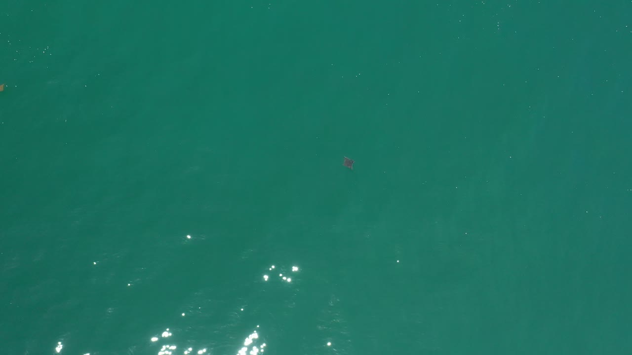 Green ocean water fills the frame in Los Cabos, Mexico, with a small cluster of bright reflections near the lower edge and no visible people.